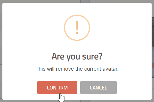 confirm DELETE AVATAR.gif